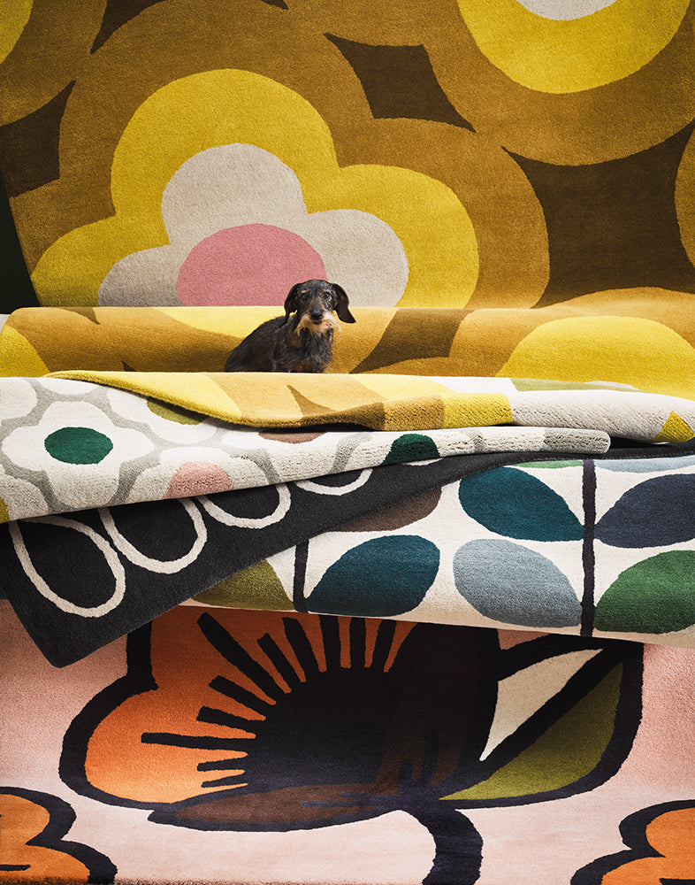 Orla Kiely Designer Rugs | Designer Wool Rugs Belrose | Rugs N Timber