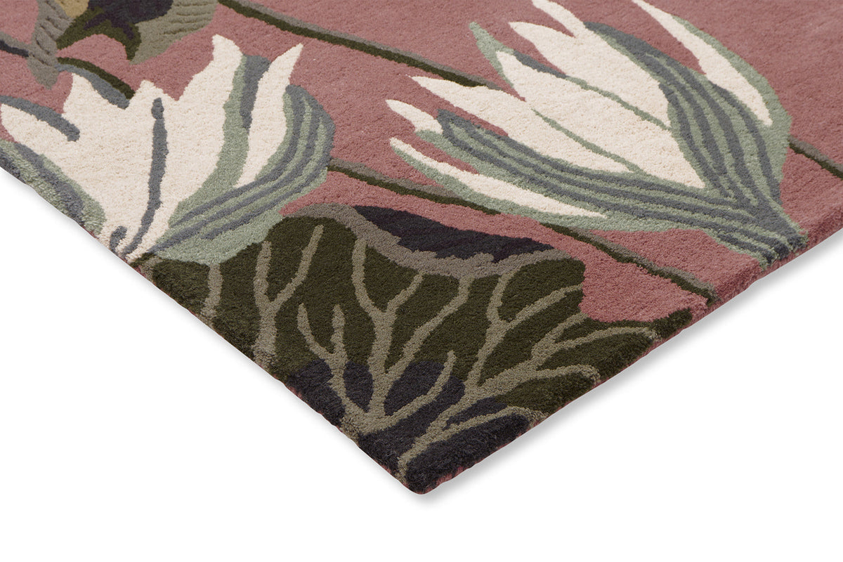 Waterlily Dusty Rose Wool Rug | Wedgwood Designer Rugs Belrose | Rugs 'N' Timber