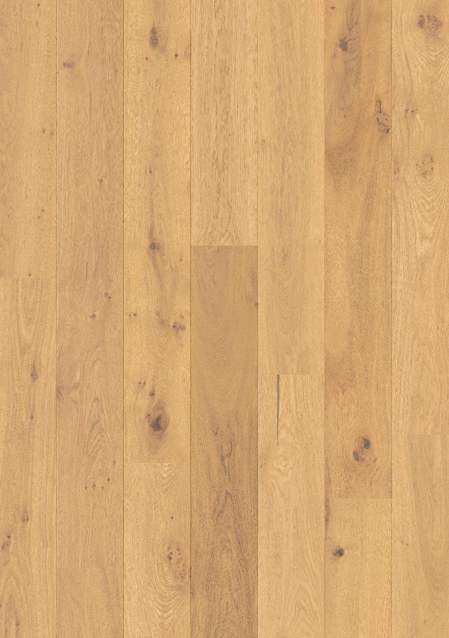 Cappuccino Blonde Oak Extra Matt | Quick-Step Cascada | Timber Flooring Belrose Sydney