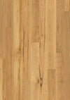 Blackbutt | Quick-Step Cascada | Timber Flooring Belrose Sydney