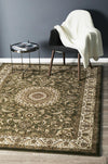 Julianna Green Medallion Rug | Traditional Rugs Belrose | Rugs N Timber