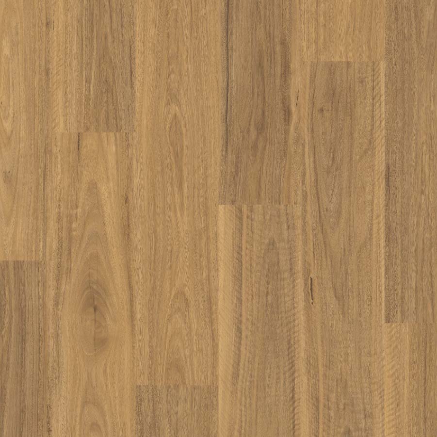 QS Laminate - Classic - Spotted Gum Light